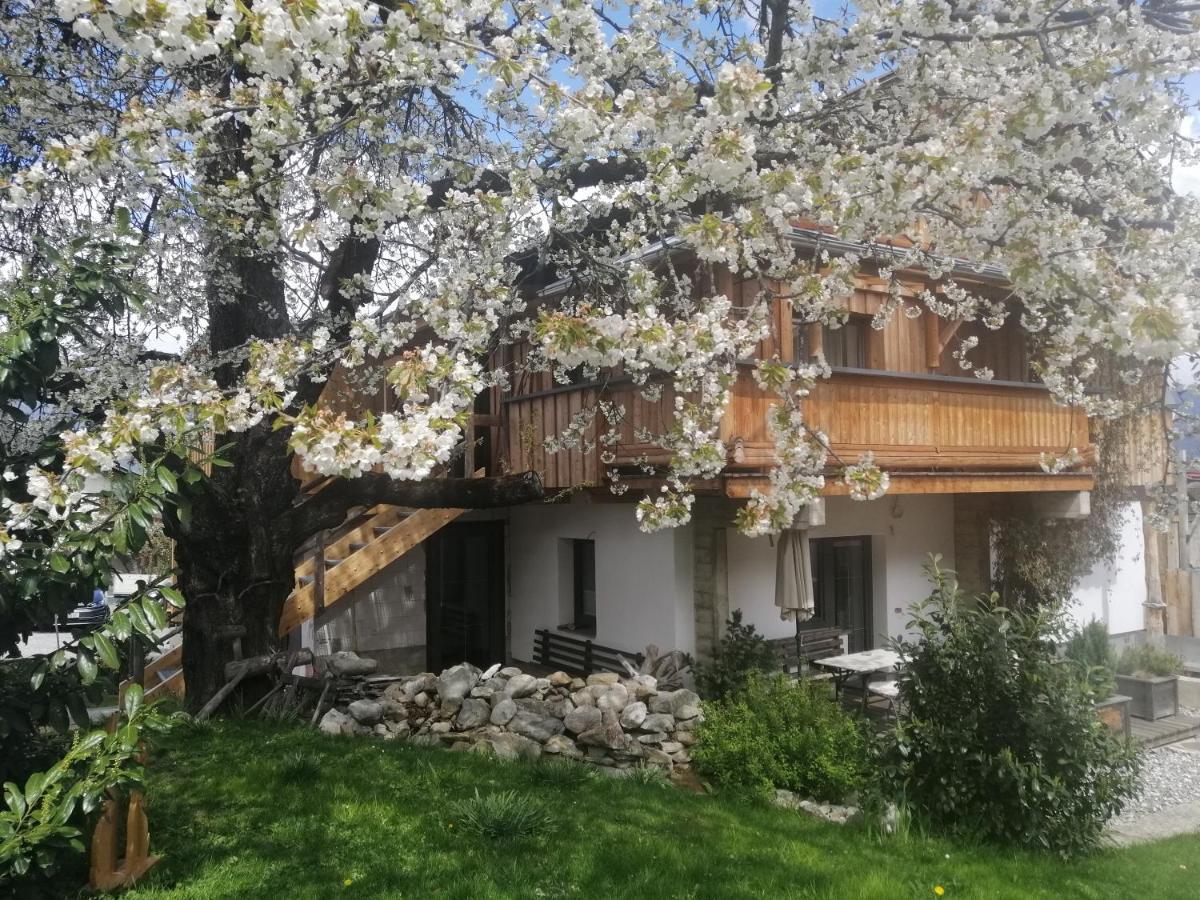 Appartement Seppi Ίνσμπρουκ Εξωτερικό φωτογραφία