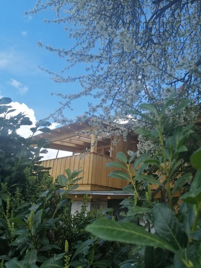 Appartement Seppi Ίνσμπρουκ Εξωτερικό φωτογραφία
